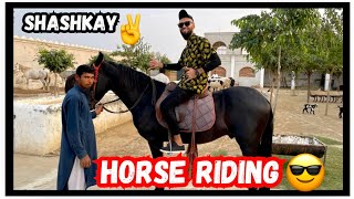 horse riding videos  animal lover  horse lover  vlogging  vlog in Pakistan  Vlog by Mr LaDDuu G [upl. by Simonetta901]