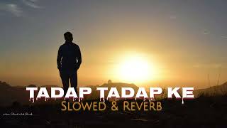 Tadap Tadap ke is dil mein   Slowed amp Reverb  Lofi 💔 Salman Khan  Aishwarya Rai [upl. by Ajtak717]