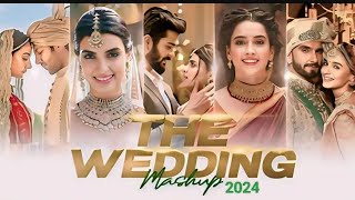 Wedding Mashup 2024  N A Production  Best Romantic Wedding Songs  Wedding Mashup Songs 2024 [upl. by Shaefer]