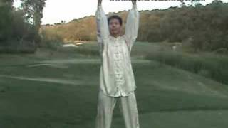 Tai Chi Taiji Warmup 18 Forms [upl. by Rillings]