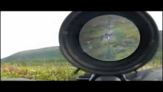 Sniper Shots  Long Range Sniping [upl. by Ykroc]