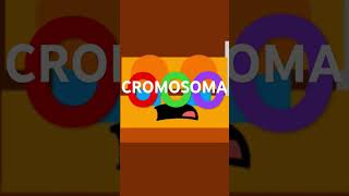 Cromosoma logo part 4 [upl. by Hassin]