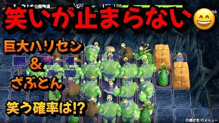 【風来のシレン6】まさに笑いが止まらない！巨大ハリセンとざぶとんの共鳴効果の検証も。＋＠風来人豆知識 [upl. by Ikilisav]