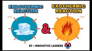 Endothermic and Exothermic Reactions  Chemistry  Urdu  Hindi  Innovative Leaders [upl. by Jola911]