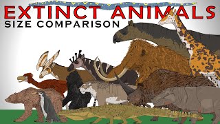 Random Extinct Animals Size Comparison Vol1 Smilodon Woolly Mammoth Titanoboa Gigantopithecus [upl. by Olethea405]