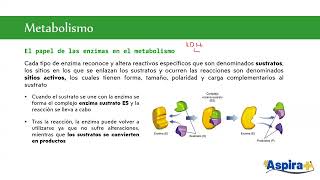 Biología Unidad 2 Sesión 1 UNAM SUAyED  2025 [upl. by Mochun]