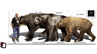 Arctotherium angustidens Arctodus simus and Agriotherium africanum size comparison [upl. by Hahsia]