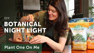 Build a BOTANICAL NIGHT LIGHT Fairy Garden — Ep 359 [upl. by Nnaegroeg75]