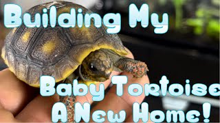 Baby Redfoot Tortoise Bio Active Build [upl. by Symon]