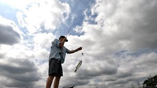 Key Tips for Catching Bass On Topwater Lures [upl. by Llennahc]