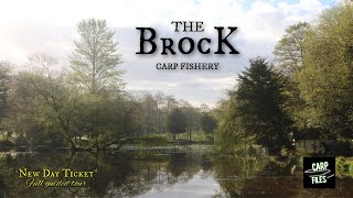 CARP FISHING The Brock Carp Fishery  New carp fishing day ticket water [upl. by Annayhs]