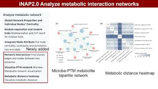 iMeta  iNAP 20 Harnessing metabolic complementarity in microbial network analysis [upl. by Lora]