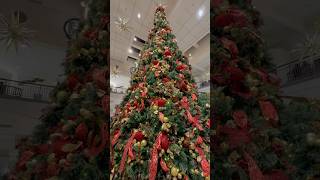 Hillsdale Shopping Center povytshortssubscribe shortfeed watchnow newchristmasnewtrend [upl. by Notsuj]