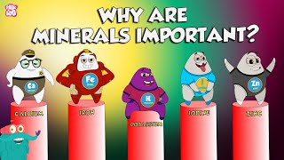 Why Are Minerals Important  Functions Of Minerals  The Dr Binocs Show  Peekaboo Kidz [upl. by Ashli456]