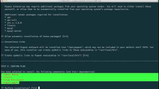 Install Puppet Enterprise on CentOS 5 in 15 minutes [upl. by Ahsimal985]