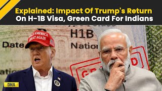 US Election Results Donald Trumps Return To Impact 1 Million Indians In Green Card Queue  H1B [upl. by Etnuad]