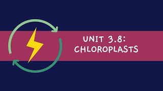 Unit 38 Chloroplasts [upl. by Annaeiluj76]