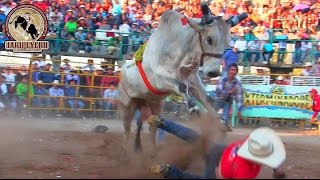 ¡¡POR ESO LES LLAMAN EXTERMINADORES Rancho Las Cubatas En San Pedro Tacaro Michoacan 2017 [upl. by Dyanna940]