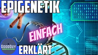 Du bist weit mehr als die Summe deiner Gene Epigenetik einfach erklärt Methylierung Acetylierung [upl. by Yanffit711]