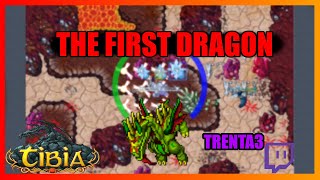 Tibia THE FIRST DRAGON Quest guía español [upl. by Virgy302]