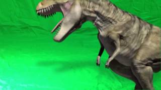 TRexGreen Screen [upl. by Gabby751]