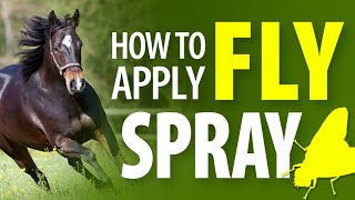 How to Apply Fly Spray to a Horse  Jeffers Equine [upl. by Reinhard]