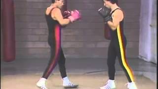 Leopard Kung Fu  Training Conditioning and Techniques [upl. by Faber]