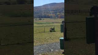 Dog chasing the ball on beautiful autumn weather puppy dogtraining doglover [upl. by Simons]