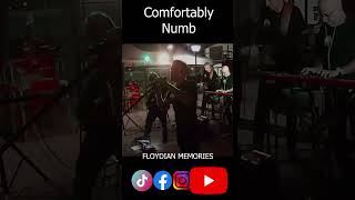 Comfortably Numb  Floydian Memories [upl. by Damian]