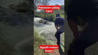 pekerjaan paling ngeri ngasih makan buaya buaya [upl. by Comyns]