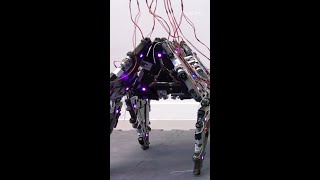 Mori3 from Reconfigurable Robotics Lab is a shapeshifting and modular origami robot  TechCrunch [upl. by Cobb229]