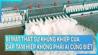 Bí mật thật sự khủng khiếp của đập Tam Hiệp không phải ai cũng biết  Cuộc sống 24h [upl. by Ellehcyar]