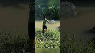 1175 🐠🐠 MANCING UDANG SUNGAI [upl. by Anerda]