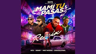 Mami Tu Te Pasas Remix [upl. by Nnylyahs]