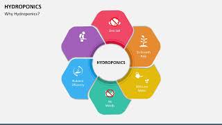 Hydroponics Animated PowerPoint Template [upl. by Jon]