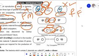 Bacterial Conjugation Lecture Botany I for BS Zoology Botany Chemistry Urdu [upl. by Akeem384]