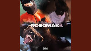 ROSOMÁK feat Tom Orrow [upl. by Marc]