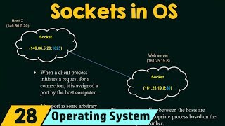 Sockets in Operating System [upl. by Miller]