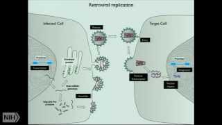 Intrinsic host defenses against HIV1 [upl. by Yartnod963]