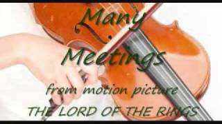 Many Meetings on violin  The Lord of the Rings Soundtrack [upl. by Meelas]