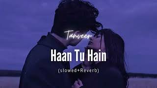 HAAN TU HAIN  slowed  Reverb   KK  Tanveer [upl. by Nochur333]