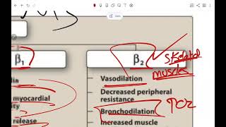 ZU Pharmacology  Lecture 15 Sympathomimetics [upl. by Berck]