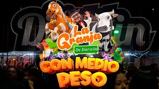 Con Medio Peso El Combo de Darwin Video HD [upl. by Yaja]