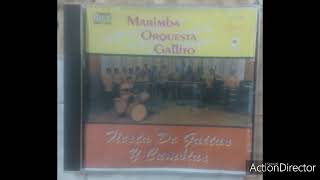 Cumbia Panorámica  Marimba Orquesta Gallito “La Soberana” Álbum Fiesta De Gaitas Y Cumbias Vol 2 [upl. by Bobby]