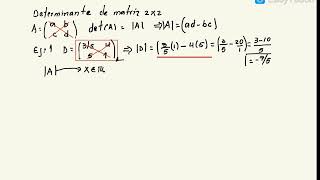 DETERMINANTE DE UNA MATRIZ 2x2 [upl. by Esilehc196]