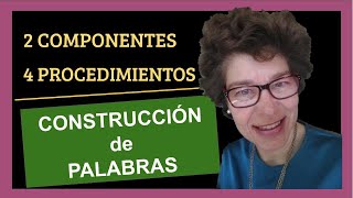 MORFOLOGÍA COMPONENTES Y PROCEDIMIENTOS DE CONSTRUCCIÓN DE LAS PALABRAS [upl. by Raimes705]