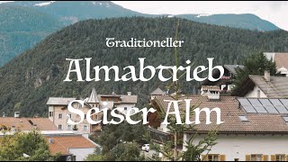 Almabtrieb Seiser Alm  Kastelruth [upl. by Hyacinthe378]