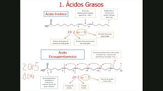 16Metabolismo Lipídico 1 Estructura de lípidos [upl. by Sarine]