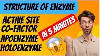 Structure of Enzymes Cofactor Active site Apoenzyme vs Holoenzyme [upl. by Nreval]