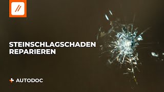 Wie man einen Steinschlagschaden oder einen Sprung in der Windschutzscheibe repariert  AUTODOC [upl. by Haseefan]